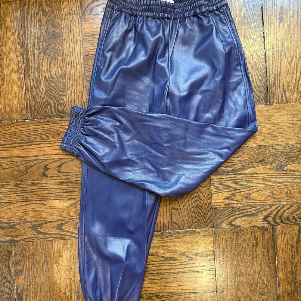 Babaton Navy Leather Pants